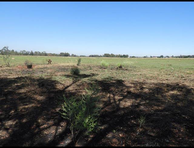 115,300M² VACANT LAND FOR SALE IN DE DEUR